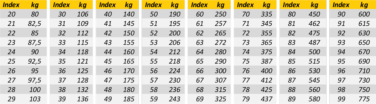 thuis Wonen eeuwig Sabra Blog: Wat is de Load- en Speedindex van mijn motorband